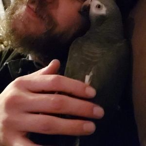 Meet your Posher, Joe